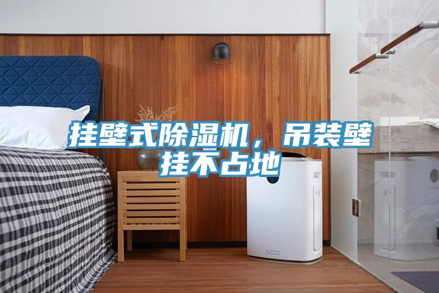 掛壁式除濕機(jī)，吊裝壁掛不占地