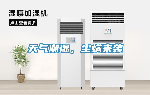 天氣潮濕，塵螨來襲