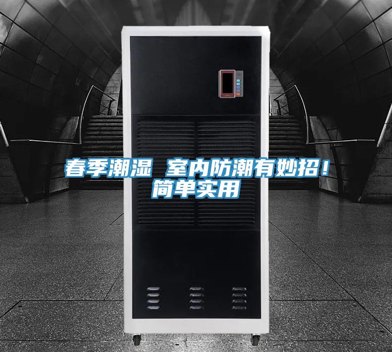 春季潮濕 室內(nèi)防潮有妙招！簡單實用