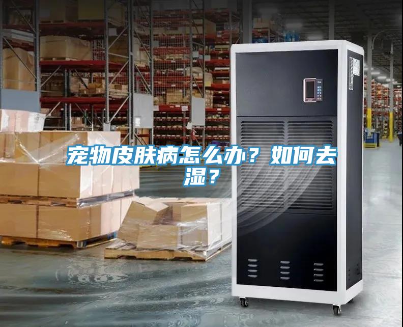 寵物皮膚病怎么辦？如何去濕？