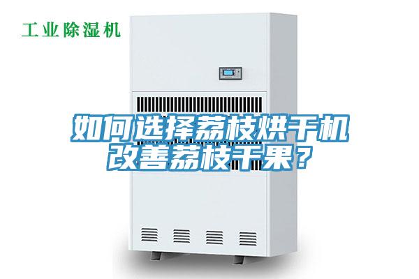 如何選擇荔枝烘干機改善荔枝干果？