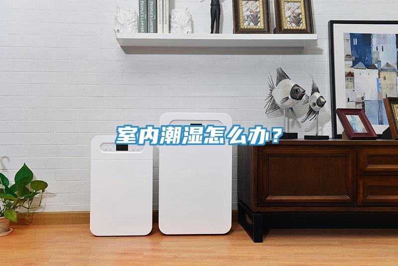 室內(nèi)潮濕怎么辦？