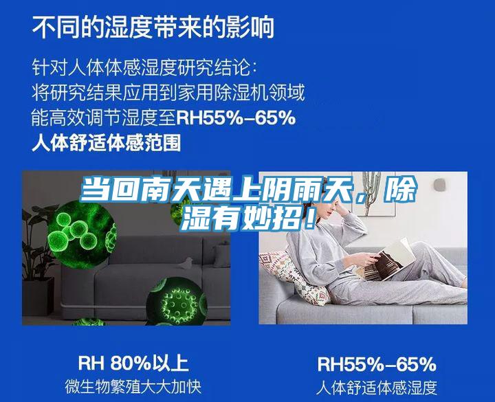 當(dāng)回南天遇上陰雨天，除濕有妙招！