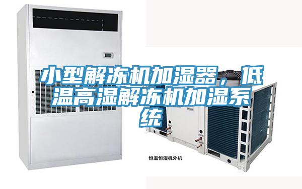 小型解凍機加濕器，低溫高濕解凍機加濕系統(tǒng)