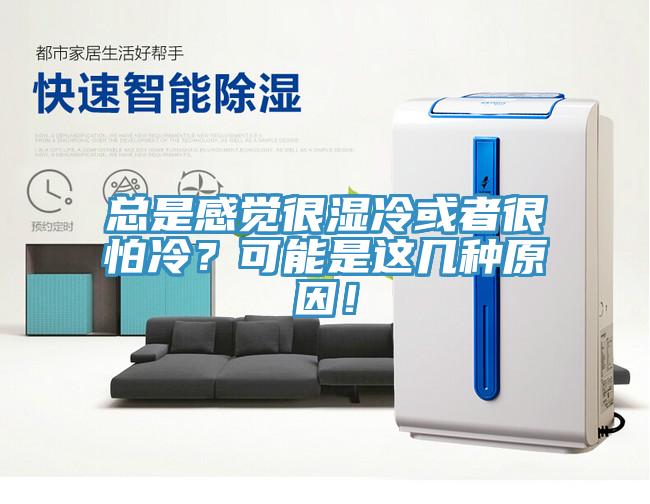 總是感覺很濕冷或者很怕冷？可能是這幾種原因！