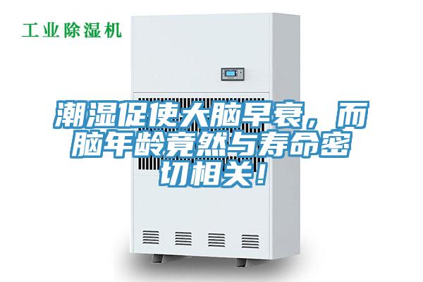 潮濕促使大腦早衰，而腦年齡竟然與壽命密切相關(guān)！