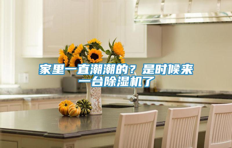家里一直潮潮的？是時(shí)候來一臺(tái)除濕機(jī)了