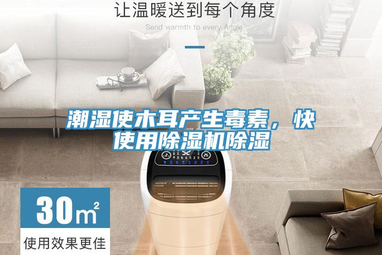 潮濕使木耳產(chǎn)生毒素，快使用除濕機(jī)除濕