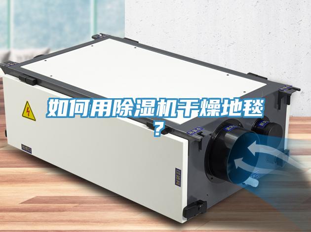 如何用除濕機(jī)干燥地毯？