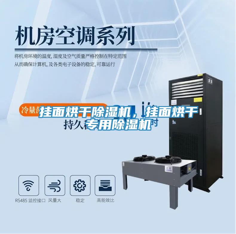 掛面烘干除濕機(jī)，掛面烘干專用除濕機(jī)