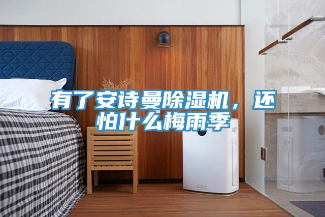 有了安詩(shī)曼除濕機(jī)，還怕什么梅雨季