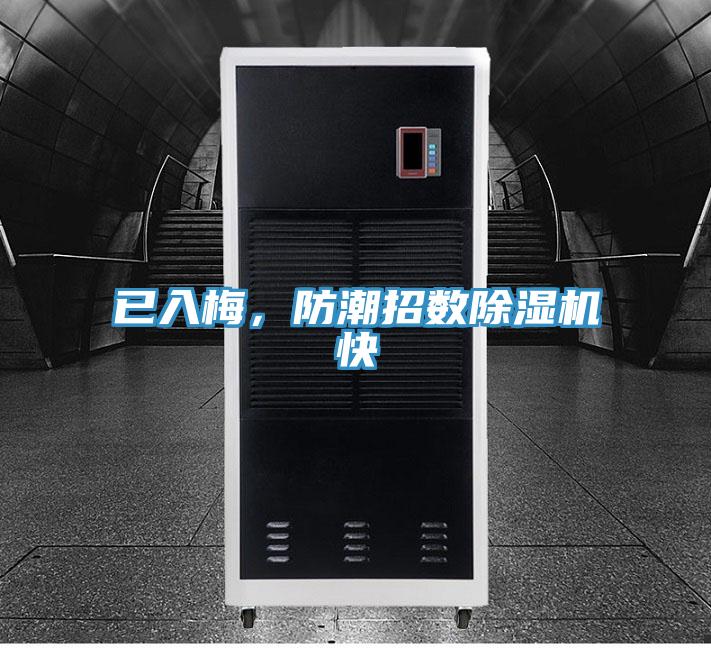 已入梅，防潮招數(shù)除濕機快