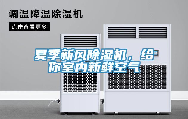 夏季新風(fēng)除濕機，給你室內(nèi)新鮮空氣