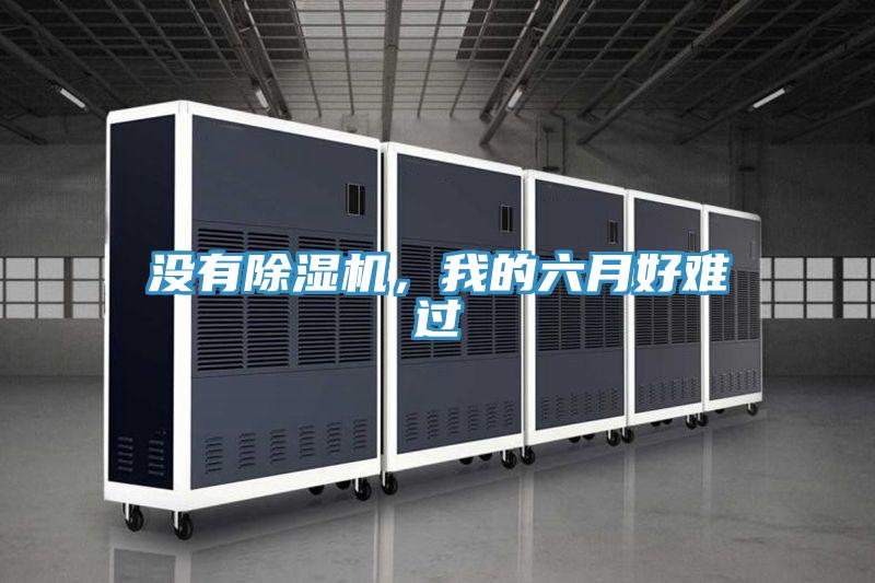 沒有除濕機，我的六月好難過