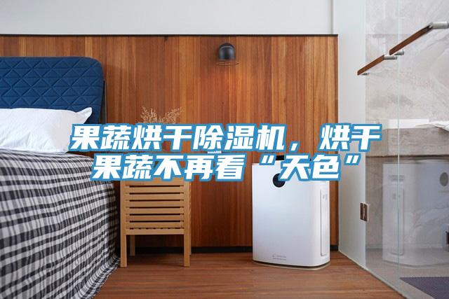 果蔬烘干除濕機(jī)，烘干果蔬不再看“天色”
