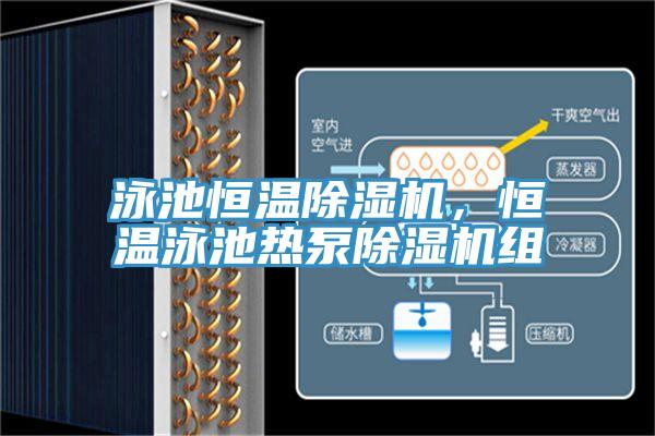 泳池恒溫除濕機(jī)，恒溫泳池?zé)岜贸凉駲C(jī)組