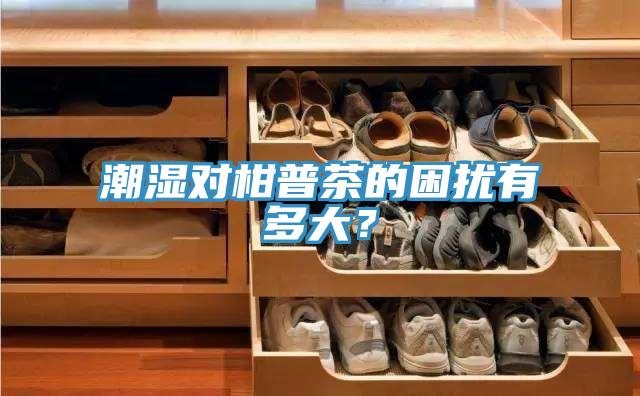 潮濕對柑普茶的困擾有多大？
