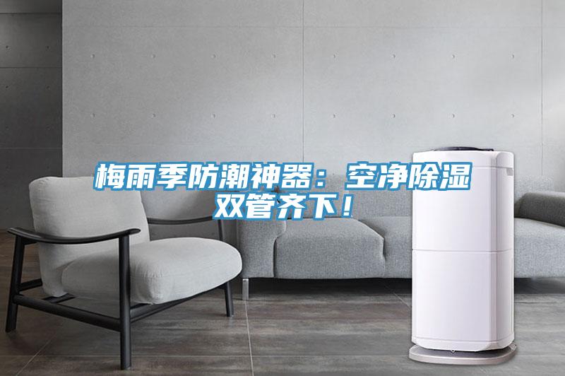梅雨季防潮神器：空凈除濕雙管齊下！