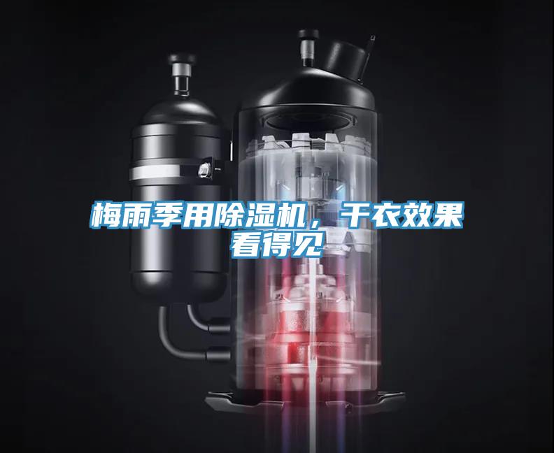 梅雨季用除濕機(jī)，干衣效果看得見