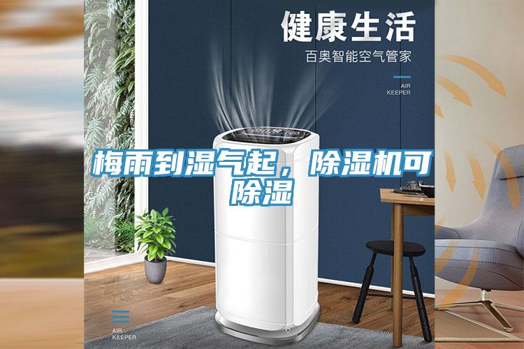 梅雨到濕氣起，除濕機(jī)可除濕