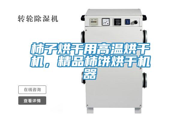 柿子烘干用高溫烘干機(jī)，精品柿餅烘干機(jī)器