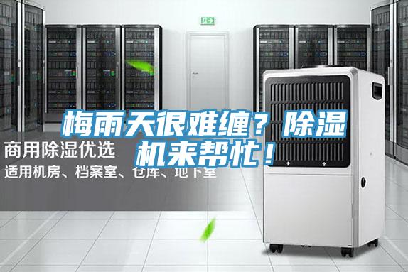 梅雨天很難纏？除濕機(jī)來(lái)幫忙！