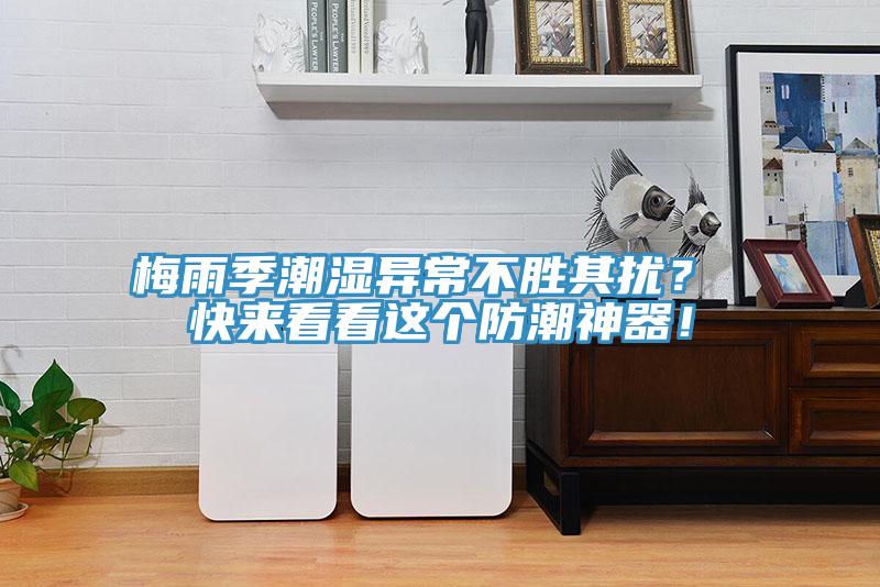 梅雨季潮濕異常不勝其擾？ 快來看看這個防潮神器！