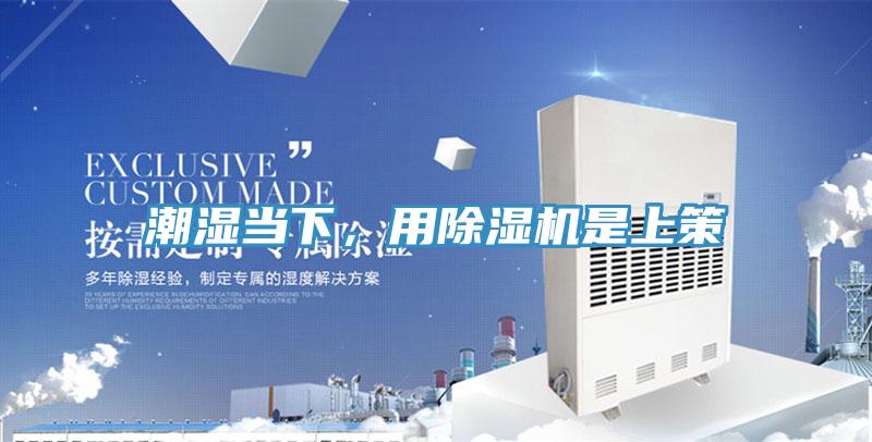 潮濕當(dāng)下，用除濕機是上策