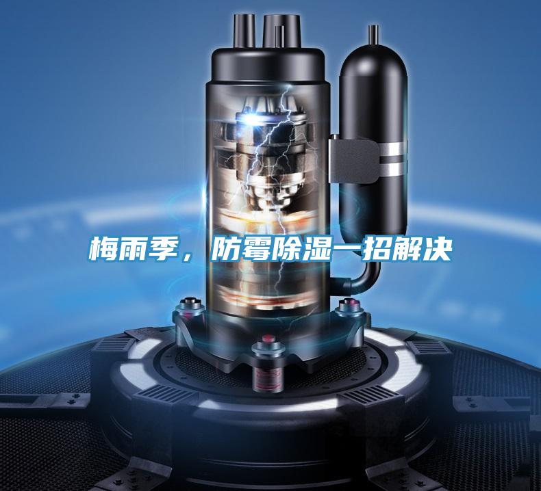 梅雨季，防霉除濕一招解決