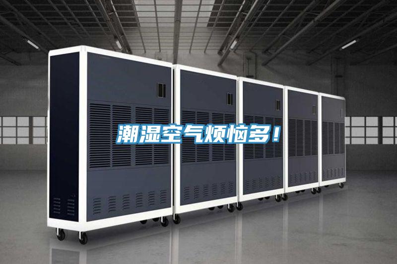 潮濕空氣煩惱多！