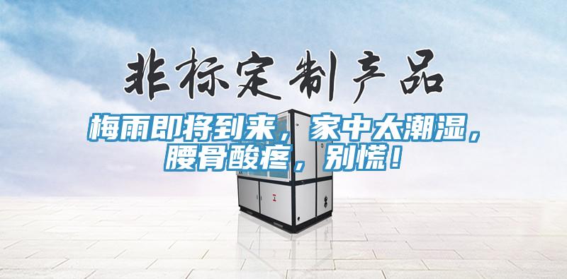梅雨即將到來(lái)，家中太潮濕，腰骨酸疼，別慌！