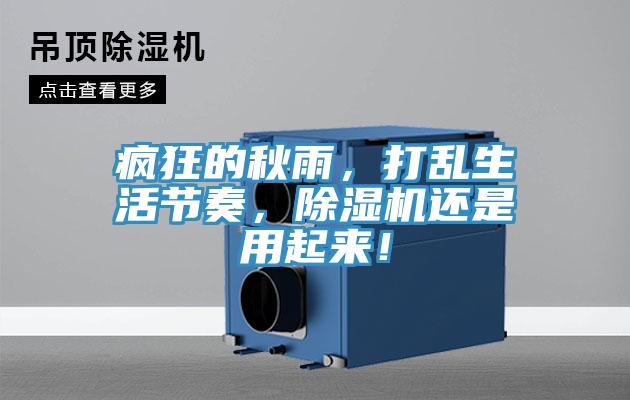瘋狂的秋雨，打亂生活節(jié)奏，除濕機(jī)還是用起來(lái)！