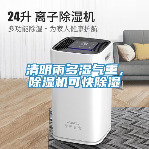 清明雨多濕氣重，除濕機可快除濕