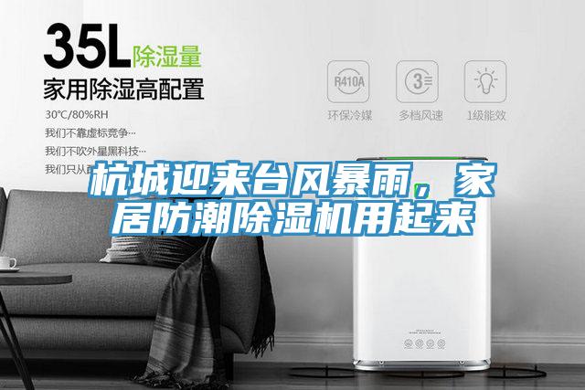 杭城迎來(lái)臺(tái)風(fēng)暴雨，家居防潮除濕機(jī)用起來(lái)