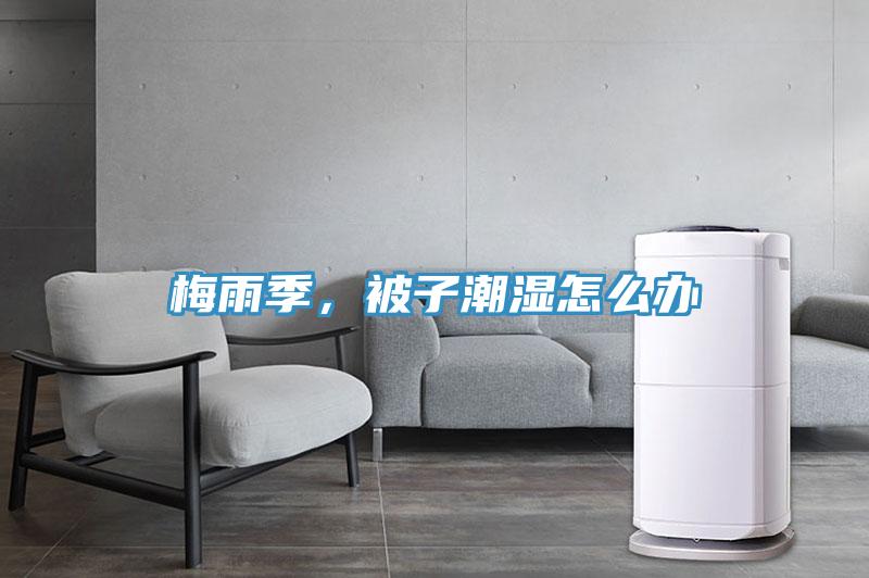 梅雨季，被子潮濕怎么辦