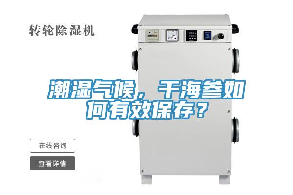 潮濕氣候，干海參如何有效保存？
