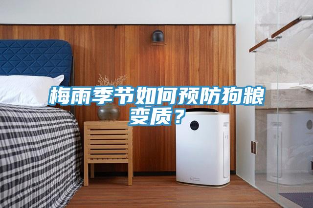 梅雨季節(jié)如何預(yù)防狗糧變質(zhì)？