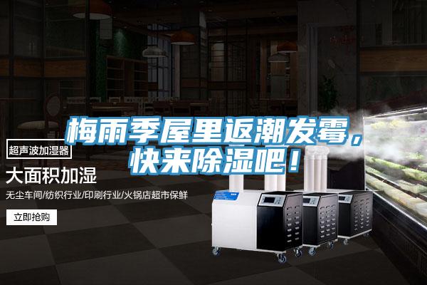 梅雨季屋里返潮發(fā)霉，快來除濕吧！