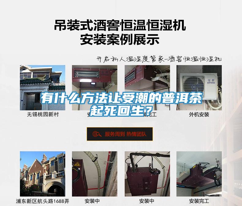 有什么方法讓受潮的普洱茶起死回生？