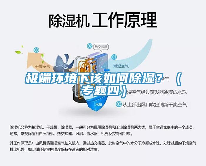 極端環(huán)境下該如何除濕？（專題四）