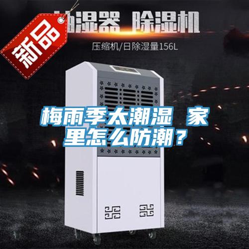 梅雨季太潮濕 家里怎么防潮？