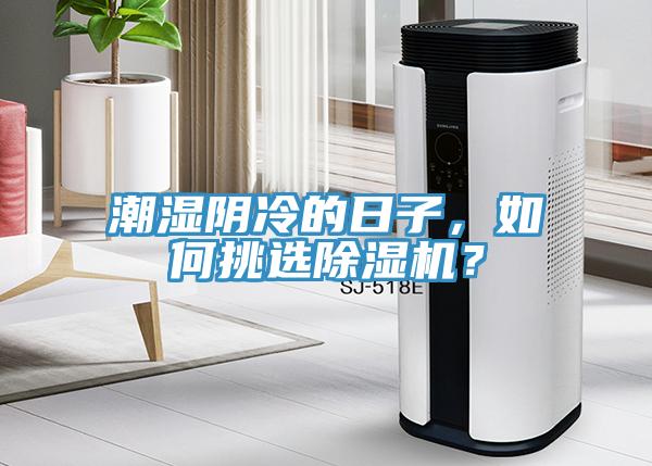 潮濕陰冷的日子，如何挑選除濕機(jī)？