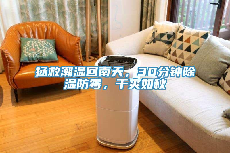 拯救潮濕回南天，30分鐘除濕防霉，干爽如秋