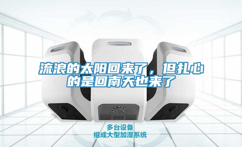 流浪的太陽(yáng)回來(lái)了，但扎心的是回南天也來(lái)了