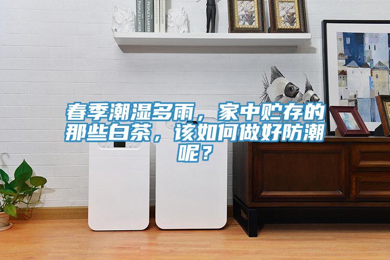 春季潮濕多雨，家中貯存的那些白茶，該如何做好防潮呢？