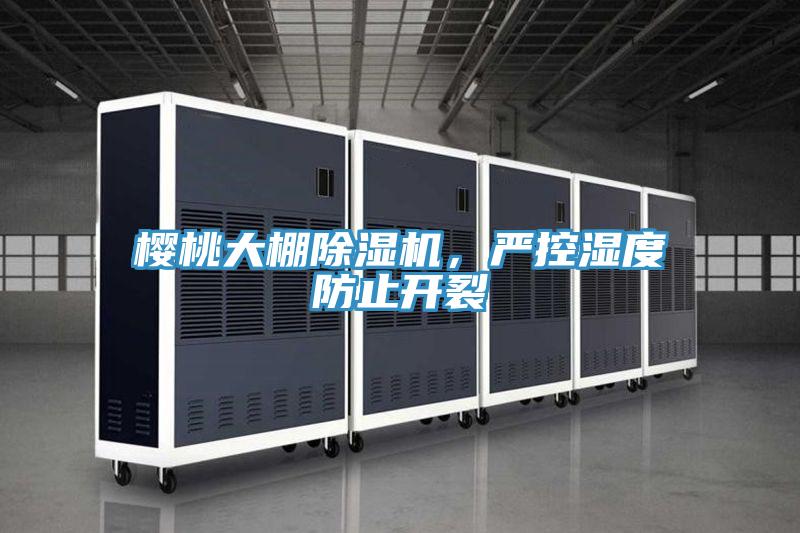 櫻桃大棚除濕機，嚴(yán)控濕度防止開裂