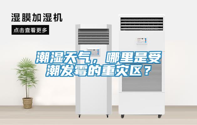 潮濕天氣，哪里是受潮發(fā)霉的重災(zāi)區(qū)？