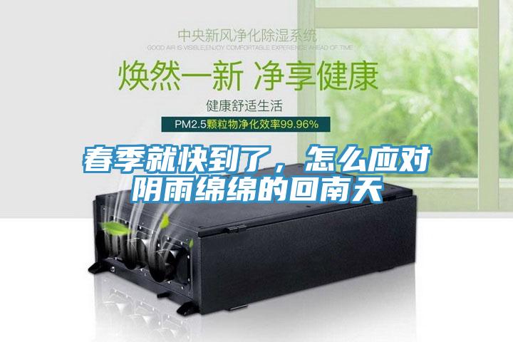 春季就快到了，怎么應對陰雨綿綿的回南天