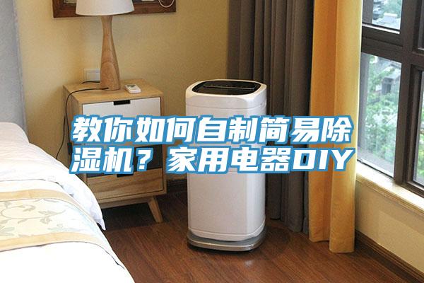 教你如何自制簡(jiǎn)易除濕機(jī)？家用電器DIY