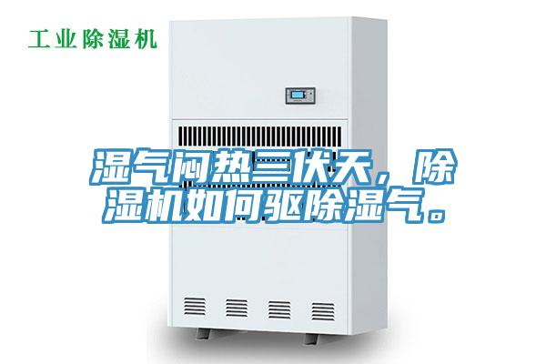 濕氣悶熱三伏天，除濕機如何驅(qū)除濕氣。